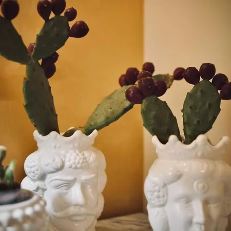 Casa Di Fiore In Fiore *